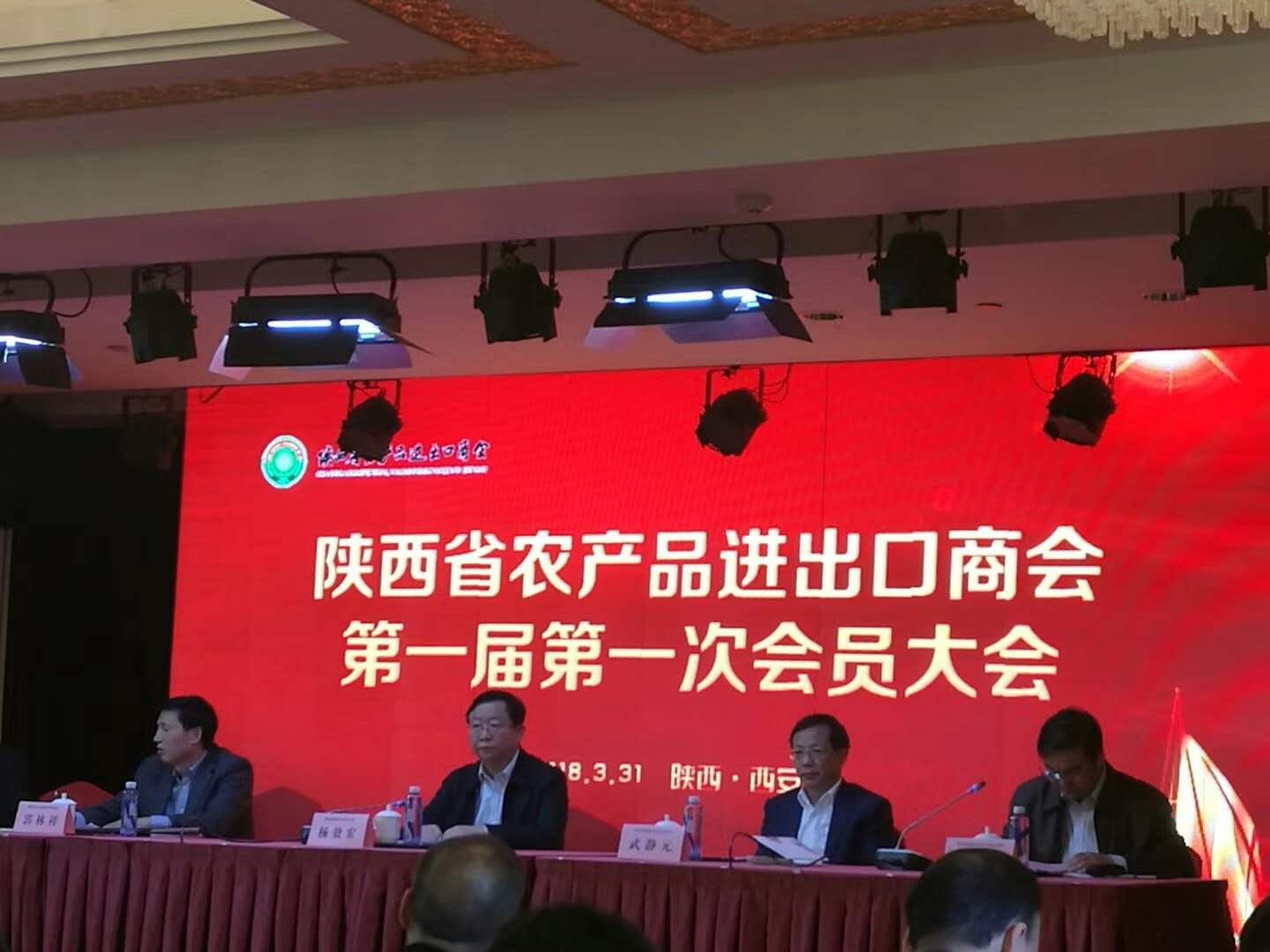 最新商会章程编写步骤指南与章程概览