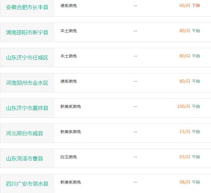 最新獭兔价格行情及小巷特色小店探秘